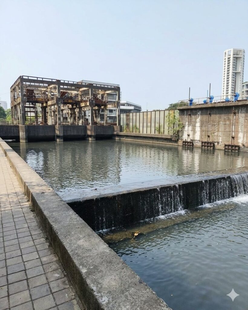 Worli